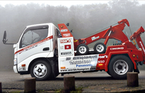 Hino 300 Low Chassis LGV